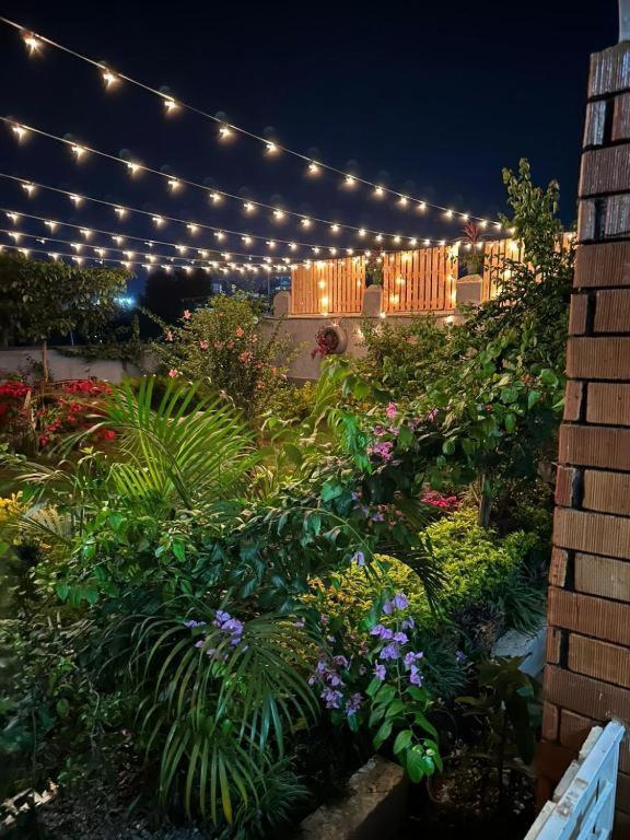 City Oasis By Siima _ Hidden Gem City Family Home Kampala Buitenkant foto